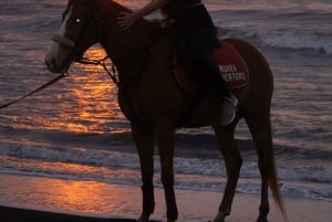 Bali: Ridning på Sanur Beach inklusive solopgang