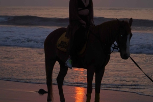 Bali: Ridning på Sanur Beach inklusive solopgang