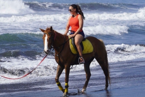 Bali: Ridning på Sanur Beach inklusive solopgang