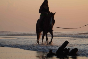 Bali: Ridning på Sanur Beach inklusive solopgang