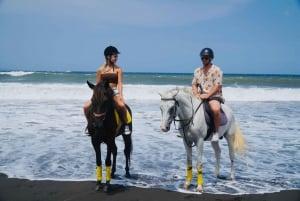 Bali: Ridning på Sanur Beach med transport