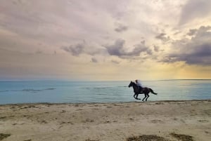 Bali: Hesteridning på Jimbaran Beach Experience