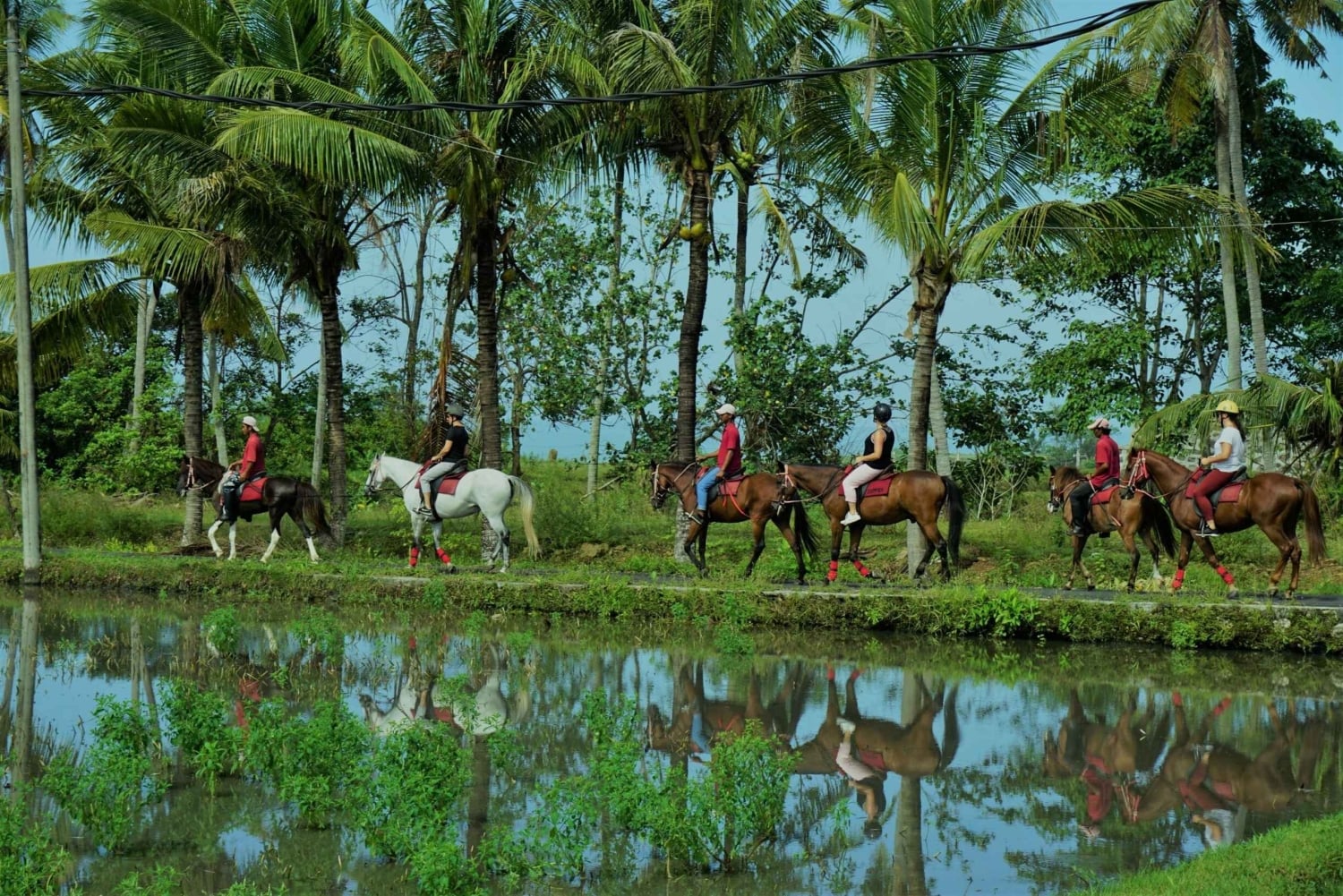Bali: Horse Riding on Pigstone Beach and in the Rice Fields