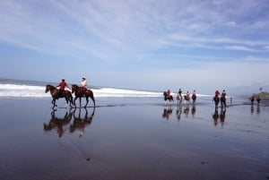 Bali: Horse Riding on Pigstone Beach and in the Rice Fields