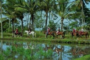 Bali: Horse Riding on Pigstone Beach and in the Rice Fields