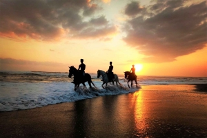 Bali: Horse Riding on Pigstone Beach and in the Rice Fields