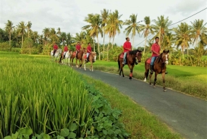Bali: Horse Riding on Pigstone Beach and in the Rice Fields