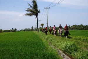 Bali: Horse Riding on Pigstone Beach and in the Rice Fields