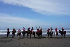 Bali: Horse Riding on Pigstone Beach and in the Rice Fields
