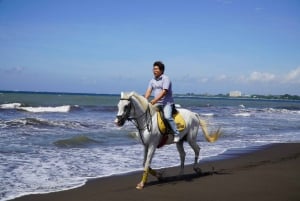 بالي: تجربة ركوب الخيل على شاطئ بالي