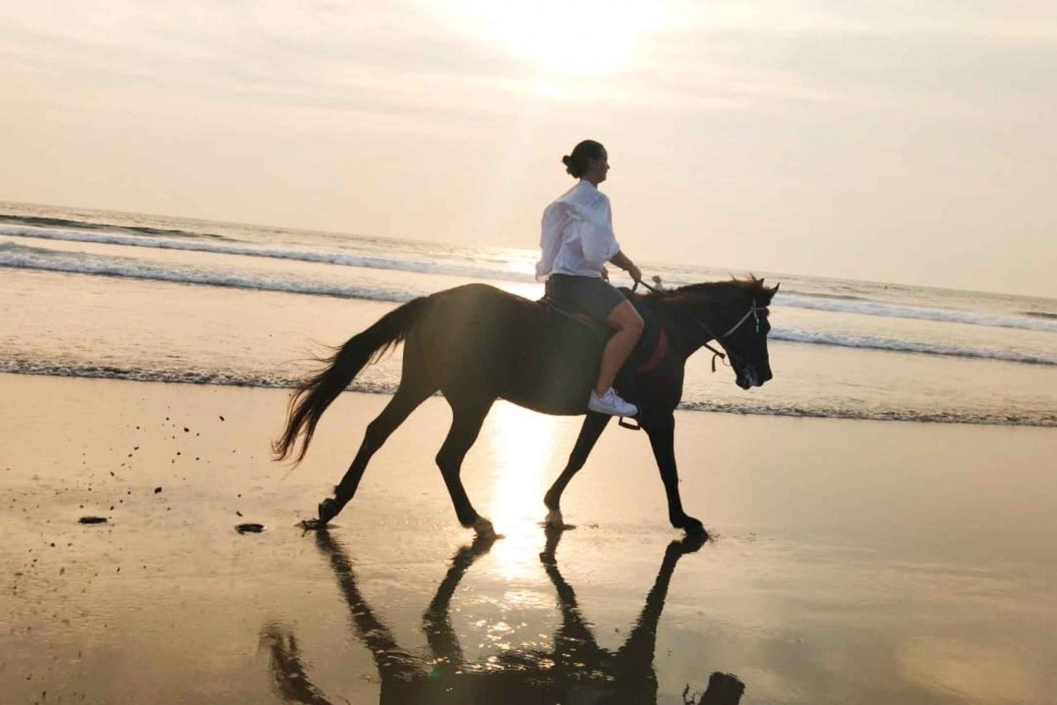 Ridning på Bali: Hästridning på Seminyak Beach Inklusive transport