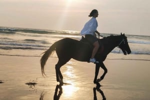 Seminyak: Guided Horse Riding Tour on Seminyak Beach