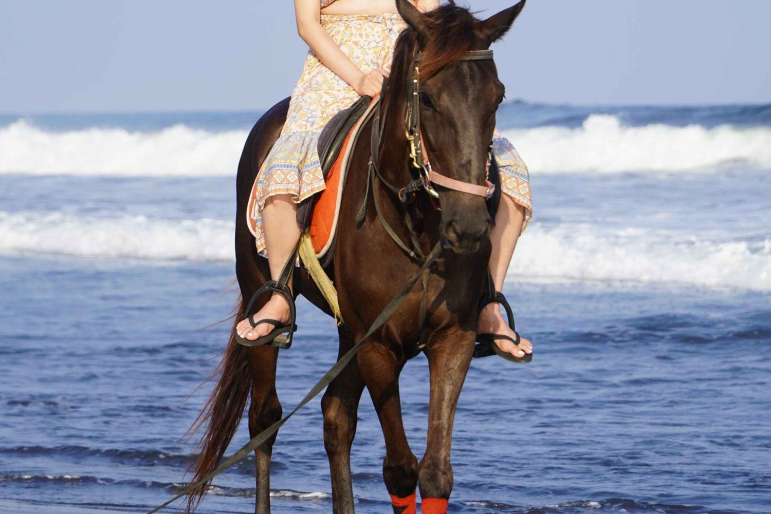 Bali: Jazda konna na plaży Sanur z transportem