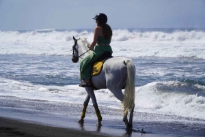 Bali: Jazda konna na plaży Sanur z transportem