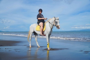 Bali: Horse Riding Sanur Beach Include Transport