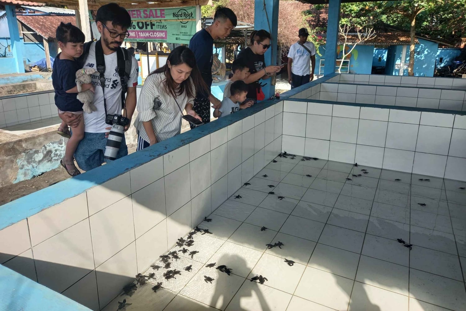 Bali: Horse Riding & Turtle Release Experience at Saba Beach