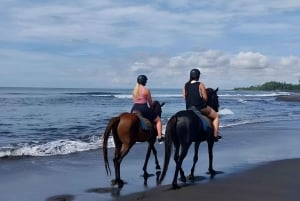 Bali: Horse Riding & Turtle Release Experience at Saba Beach