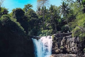 Bali: Horse Riding & Turtle Release Experience at Saba Beach