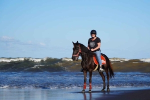 Bali: tour a cavallo con trasferimento dall'hotel