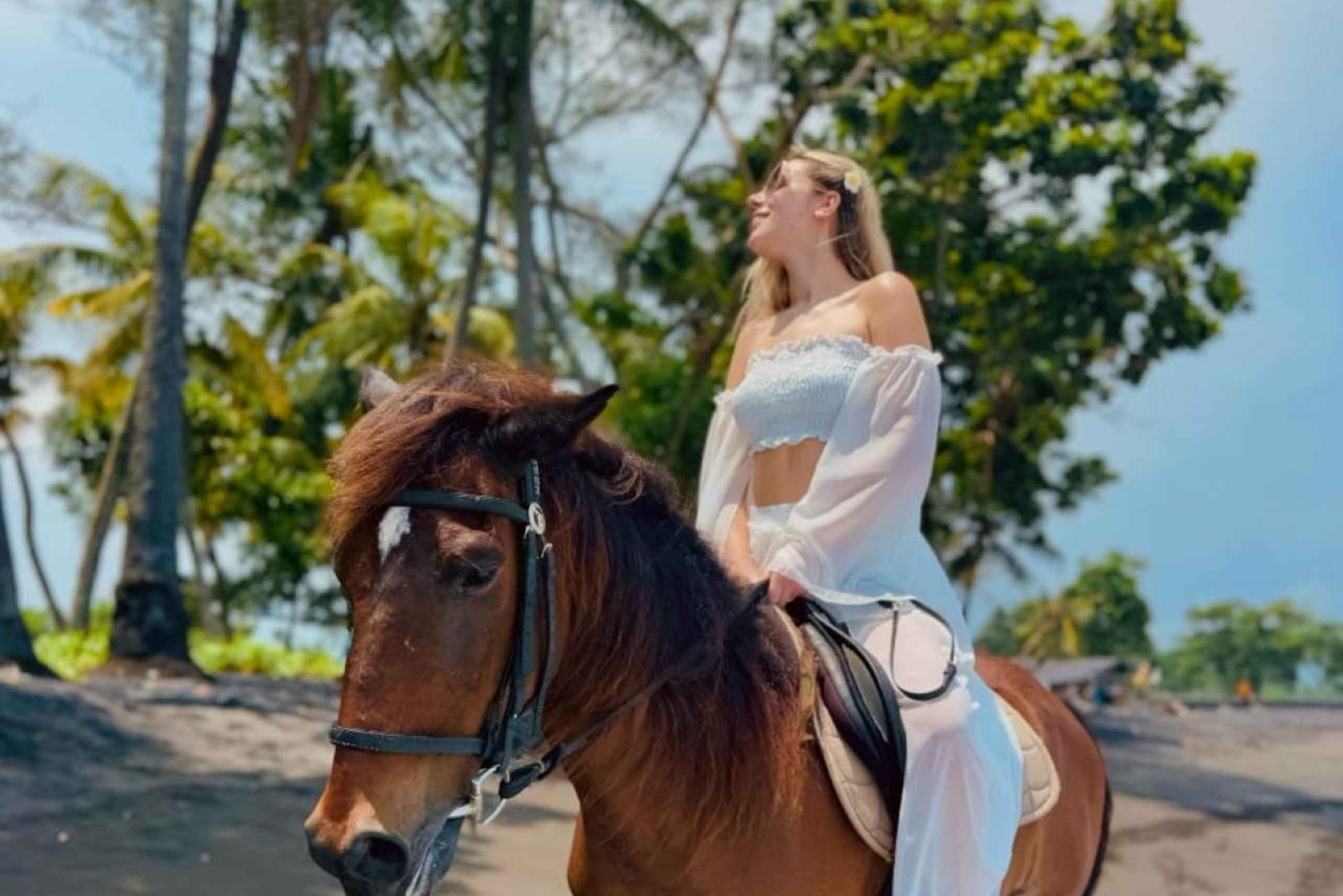 バリ：サバビーチと地元の寺院を巡る馬乗りツアー。