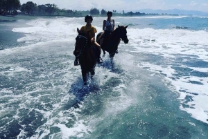 バリ：サバビーチと地元の寺院を巡る馬乗りツアー。
