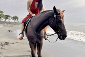 バリ：サバビーチと地元の寺院を巡る馬乗りツアー。