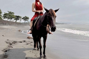 バリ：サバビーチと地元の寺院を巡る馬乗りツアー。