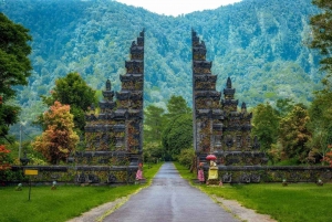Bali: Iconic Handara Gate With Dolphin Watching Tour