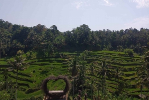 Bali in 1 Day :Famous temples -UNESCO Sight - All inclusive