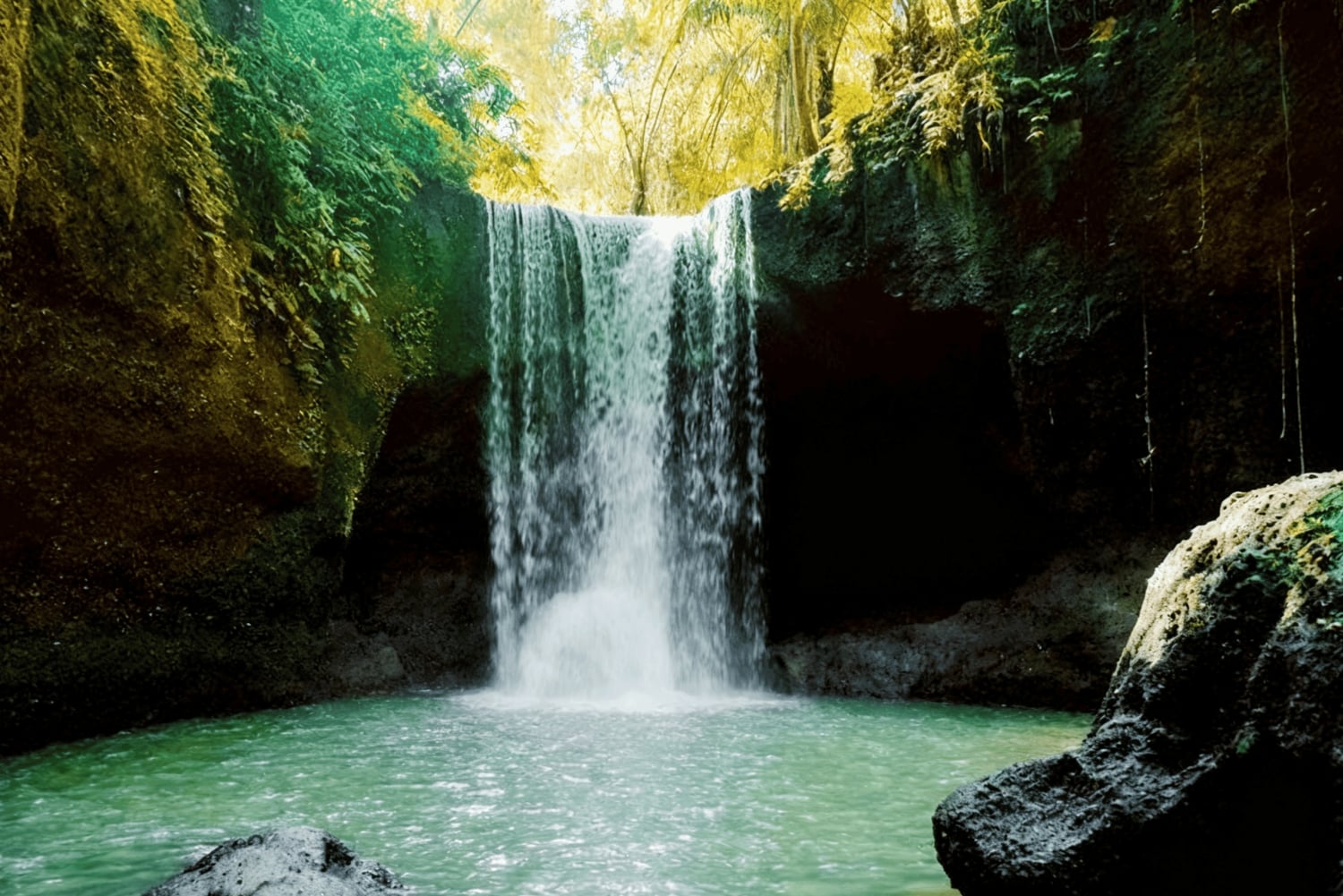 Bali en equilibrio: tradición, sabiduría de los templos y aventura en la selva