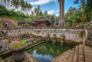 Bali en equilibrio: tradición, sabiduría de los templos y aventura en la selva