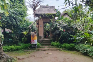 Bali en equilibrio: tradición, sabiduría de los templos y aventura en la selva