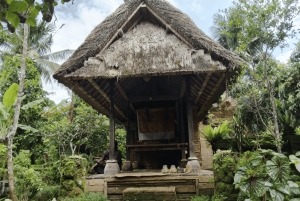 Bali en equilibrio: tradición, sabiduría de los templos y aventura en la selva