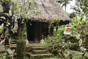 Bali en equilibrio: tradición, sabiduría de los templos y aventura en la selva