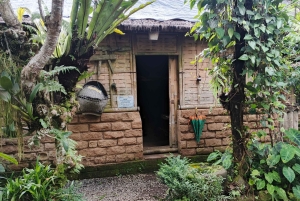 Bali en equilibrio: tradición, sabiduría de los templos y aventura en la selva