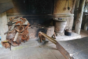 Bali en equilibrio: tradición, sabiduría de los templos y aventura en la selva