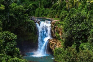 Bali: Incredible Ubud Waterfall Tour
