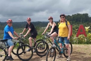 Bali: Ruta Ciclista por Jatiluwih con Comida y Traslado al Hotel