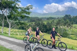 Bali: Ruta Ciclista por Jatiluwih con Comida y Traslado al Hotel
