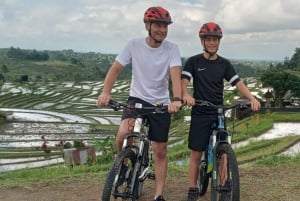 Bali: Ruta Ciclista por Jatiluwih con Comida y Traslado al Hotel