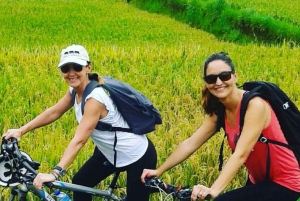 Bali: Ruta Ciclista por Jatiluwih con Comida y Traslado al Hotel
