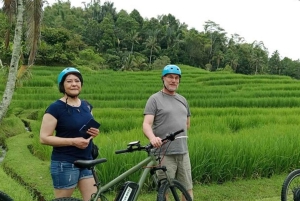 Bali: Ruta Ciclista por Jatiluwih con Comida y Traslado al Hotel