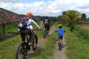 Bali: Ruta Ciclista por Jatiluwih con Comida y Traslado al Hotel