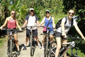Bali: Jatiluwih Full-Day E-Bike and Trekking Tour