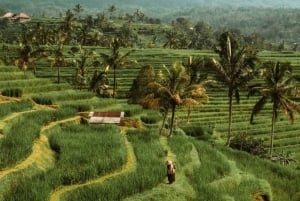 Bali: Jatiluwih Lazy River Rafting Rice Terrace Temple Tour