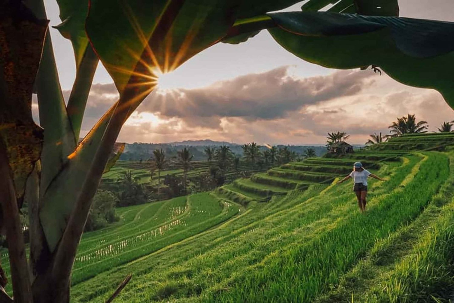 Bali: Jatiluwih Rice Terrace Sunrise Trekking with Breakfast
