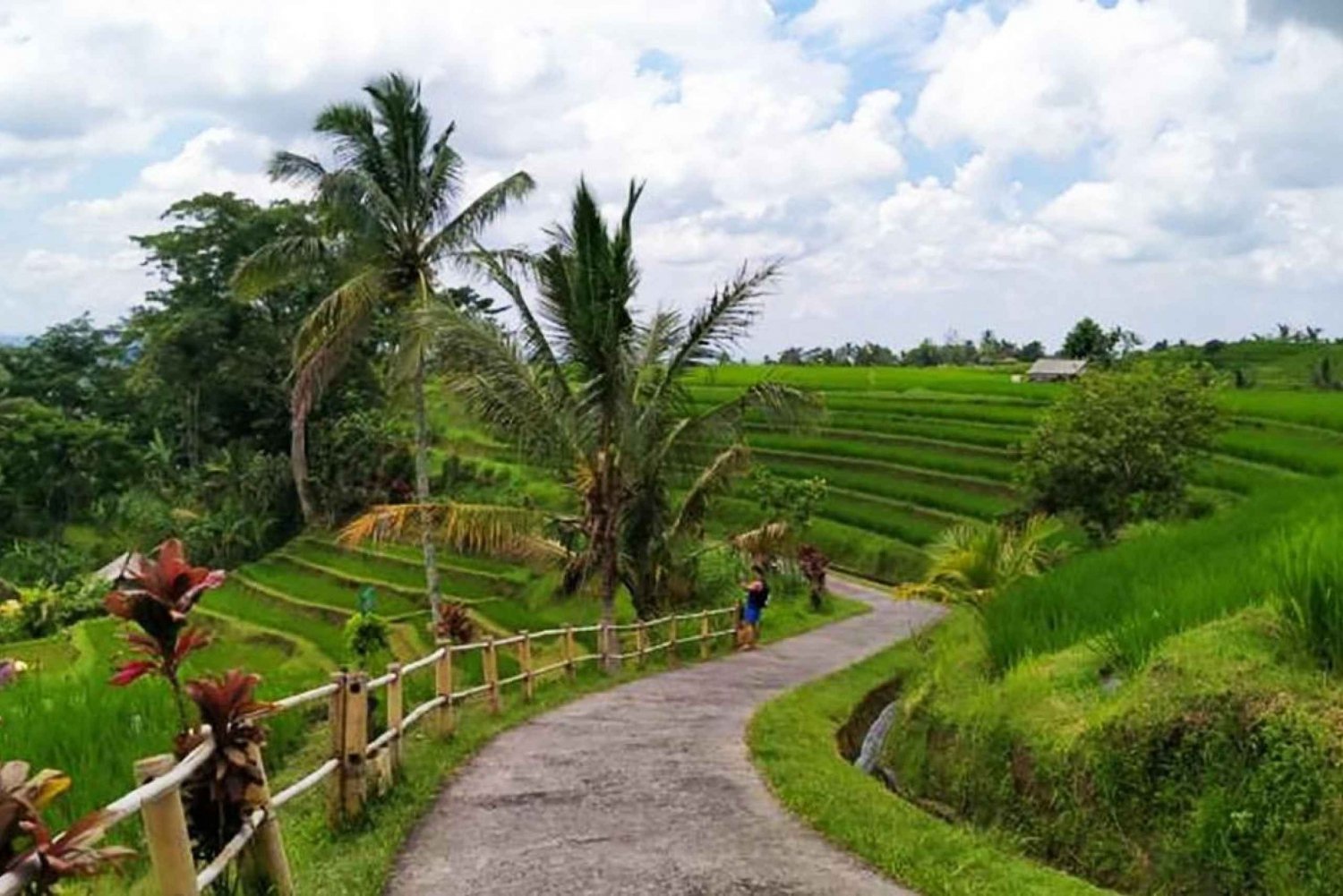 Bali: Jatiluwih Rice Terrace Sunrise Trekking with Breakfast