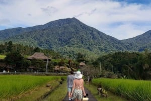 Bali: Jatiluwihin riisipellot, temppeli ja kuumat lähteet -päiväretki