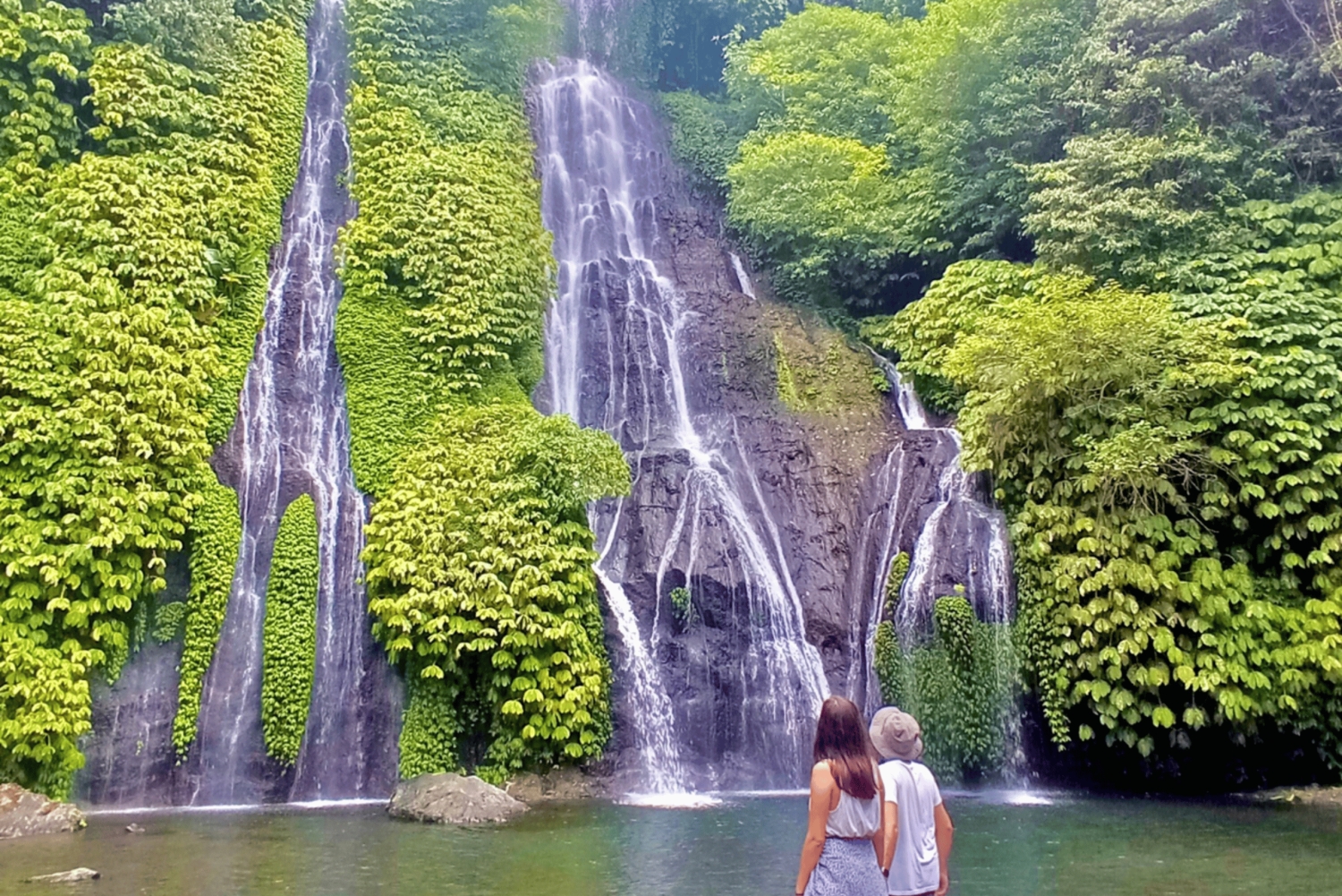 Bali: Jatiluwih-rijstterras, tempel en waterval tour