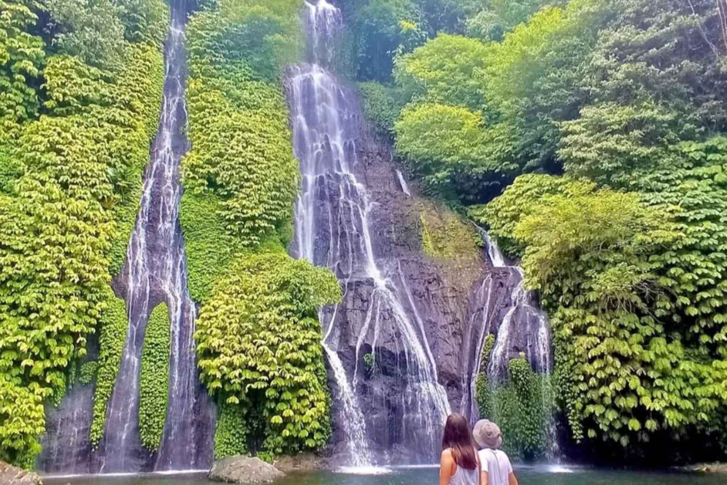 Bali: Jatiluwih-rijstterras, tempel en waterval tour